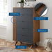 Dylan Chest | Bohemian Home Decor